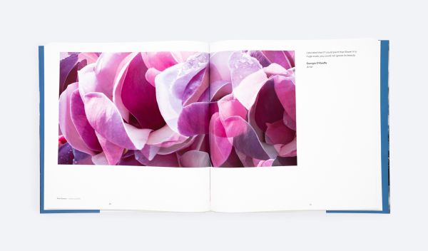 Book cover of Layered Landscape, with white fluffy clouds snaking around dark conifer trees, with below blue sky. Published by ORO Editions.