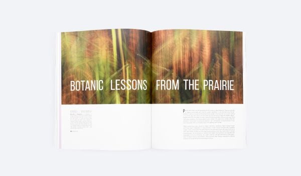 Book cover of LA+: Botanic. Published by ORO Editions.