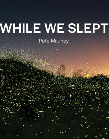 Book cover of While We Slept, with a hundreds of fireflies moving across a dark landscape. Published by ORO Editions.