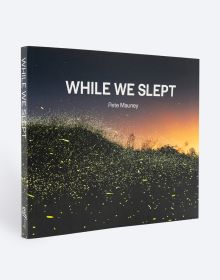 Book cover of While We Slept, with a hundreds of fireflies moving across a dark landscape. Published by ORO Editions.