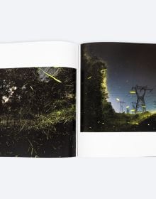 Book cover of While We Slept, with a hundreds of fireflies moving across a dark landscape. Published by ORO Editions.