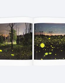 Book cover of While We Slept, with a hundreds of fireflies moving across a dark landscape. Published by ORO Editions.