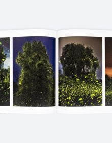 Book cover of While We Slept, with a hundreds of fireflies moving across a dark landscape. Published by ORO Editions.