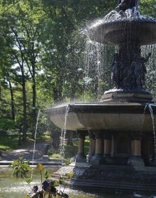 Book cover of Fountain Safari, featuring a fountain with water cascading over the edge. Published by ORO Editions.