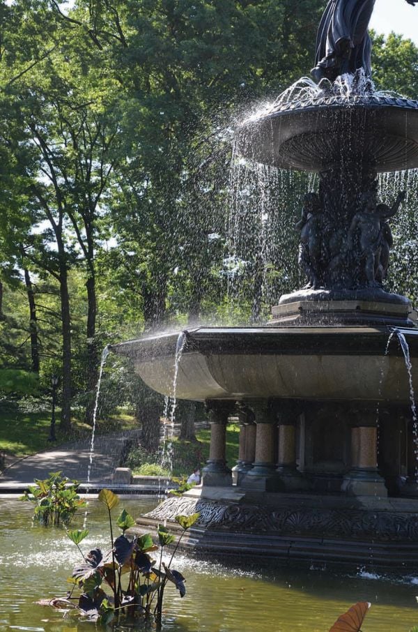Book cover of Fountain Safari, featuring a fountain with water cascading over the edge. Published by ORO Editions.
