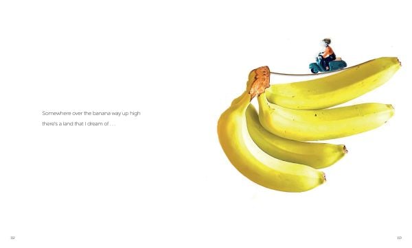 Book cover of Patricia Z Smith's The Life and Times of Forever, with a clock face on the underside of tortoise surrounded by yellow flowers. Published by ORO Editions.