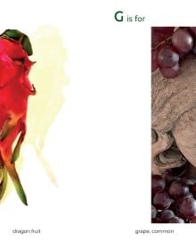 Book cover of Patricia Z Smith's The Life and Times of Forever, with a clock face on the underside of tortoise surrounded by yellow flowers. Published by ORO Editions.