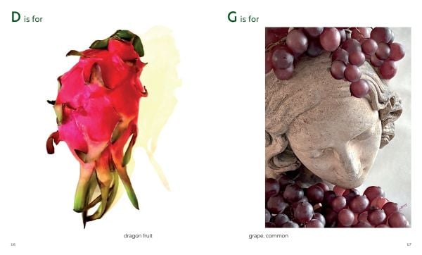 Book cover of Patricia Z Smith's The Life and Times of Forever, with a clock face on the underside of tortoise surrounded by yellow flowers. Published by ORO Editions.