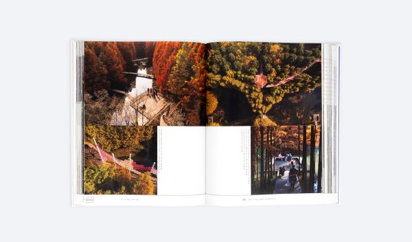 Landscapes for Adaptation