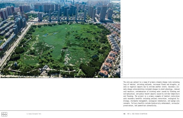 Landscapes for Adaptation