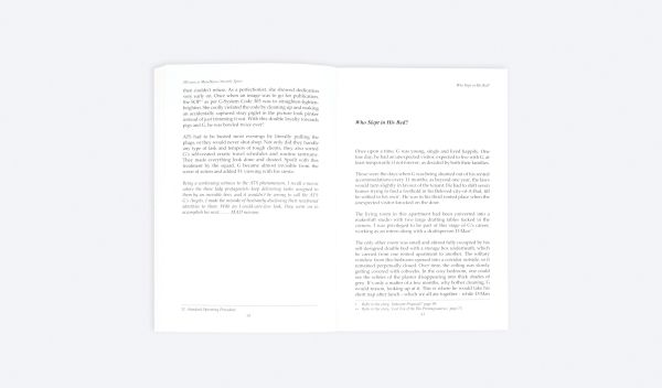 Book cover of Wit-ness to Mat-Haroo (??-????) Spirit. Published by ORO Editions.