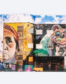 Book cover of Street Beauty, featuring a street art mural on wall of a caracal. Published by ORO Editions.