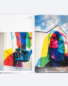 Book cover of Street Beauty, featuring a street art mural on wall of a caracal. Published by ORO Editions.