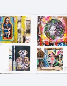 Book cover of Street Beauty, featuring a street art mural on wall of a caracal. Published by ORO Editions.