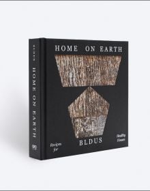 Book cover of Home on Earth: Recipes for Healthy Houses. Published by ORO Editions.