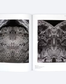 Book cover of Images, Artifacts, Architecture: 22 Projects, SU11 Architecture + Design. Published by ORO Editions.