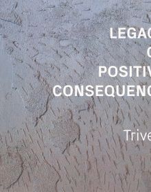 Book cover of A Legacy of Positive Consequence: Trivers. Published by ORO Editions.