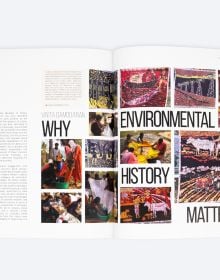 Book cover of LA+ Environment. Published by ORO Editions.