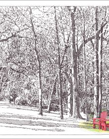 Every Picture Tells a Story