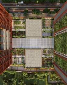 Curating Earth