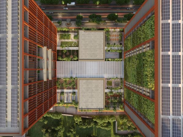 Curating Earth