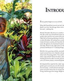 Kit's Garden in Palm Beach