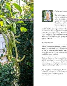 Kit's Garden in Palm Beach