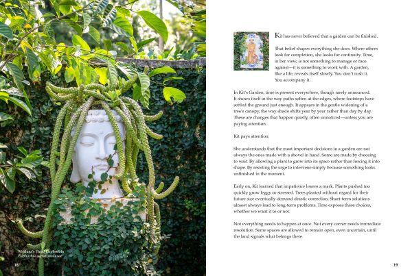 Kit's Garden in Palm Beach