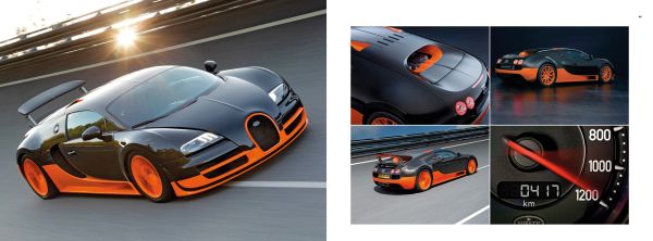 Book cover of A History of Motoring Through 100 Legendary Cars, with the front of black Rolls-Royce Phantom, 1925, with door open. Published by Albin Michel.