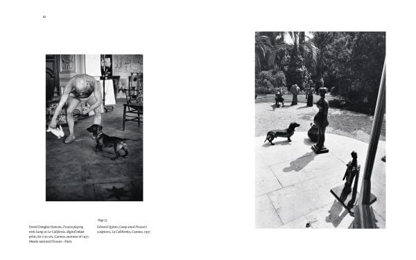 Book cover of Picasso and his Dogs: Amigos Forever, with a painting of a black and white spotted dog. Published by Editions Norma.