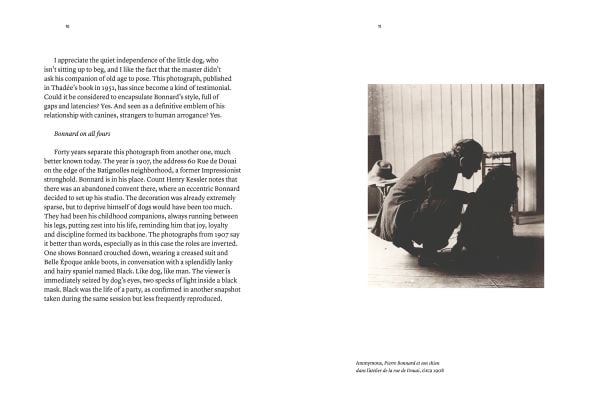 Pierre Bonnard and His Dogs