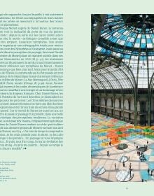 Daniel Buren