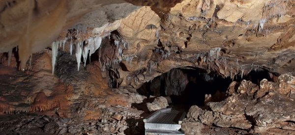 Book cover of Chauvet Cave: Humanity's First Great Masterpiece, with a prehistoric cave drawing of horses. Published by Citadelles & Mazenod.