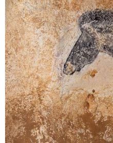 Book cover of Chauvet Cave: Humanity's First Great Masterpiece, with a prehistoric cave drawing of horses. Published by Citadelles & Mazenod.