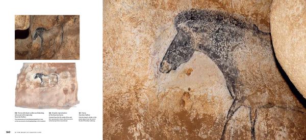 Book cover of Chauvet Cave: Humanity's First Great Masterpiece, with a prehistoric cave drawing of horses. Published by Citadelles & Mazenod.