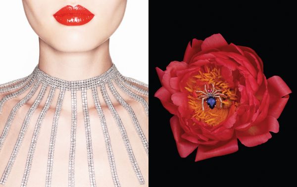 Book cover of Chaumet. Photographers’ gaze, with a model wearing a decorative choker. Published by Citadelles & Mazenod.