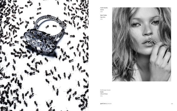 Book cover of Chaumet. Photographers’ gaze, with a model wearing a decorative choker. Published by Citadelles & Mazenod.