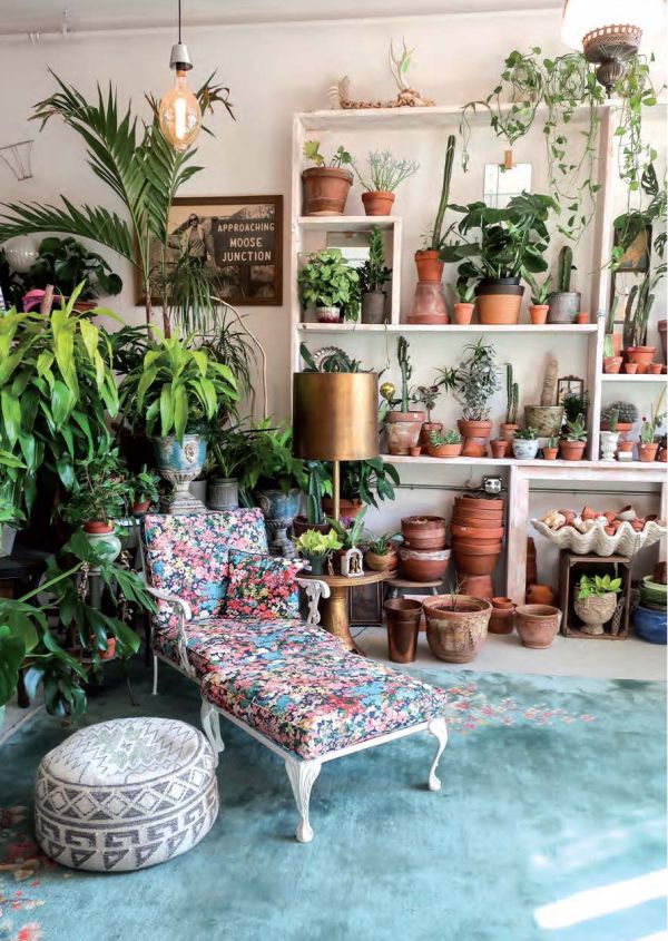 Avocado on toast, New York yellow taxi, on cover of 'The Lazy Frenchie in NYC, Lifestyle Guide for Instagram Lovers', by Lannoo Publishers.