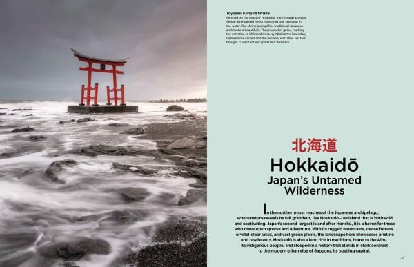 Book cover of Eternal Japan; featuring a misty landscape. Published by Lannoo Publishers.