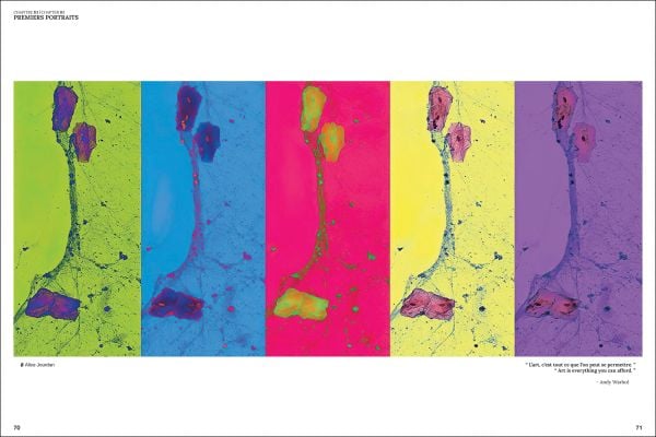 Book cover of Cellular Portraits: Laurence Graffensttaden; featuring a painting from human cells. Published by Editions Florentin.