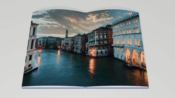 Book cover of Best of Venice; featuring a model in long floral dress. Published by Editions Florentin.