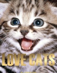 Love Cats