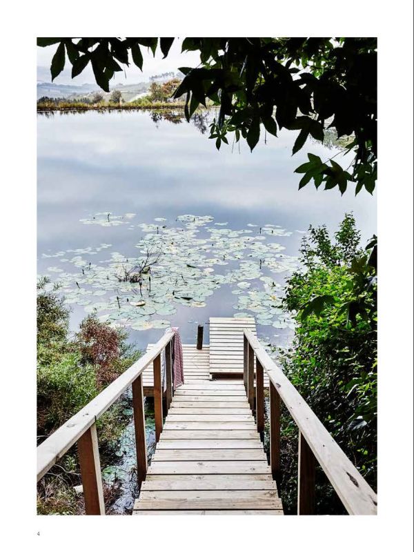 Modern building with flat roof surrounded by long green grass, on white cover of 'Paradise Found, Exceptional Homes in Extraordinary Places', by Beta-Plus.