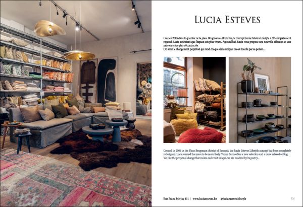 Book cover of Quartier Brugmann, L'Art de Vivre in Brussels' Most Stylish Area, with a white interior living room with wood floor, coffee-table, and low hanging light. Published by Beta-Plus.