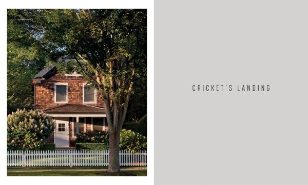 Book cover of Timeless Living Yearbook 2026: featuring a living room interior with a modern fire, wood flooring and leather chair. Published by Beta-Plus.