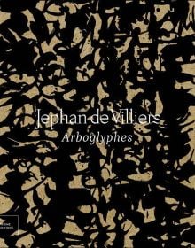 Book cover of Jephan de Villiers: Arboglyphes. Published by Exhibitions International.