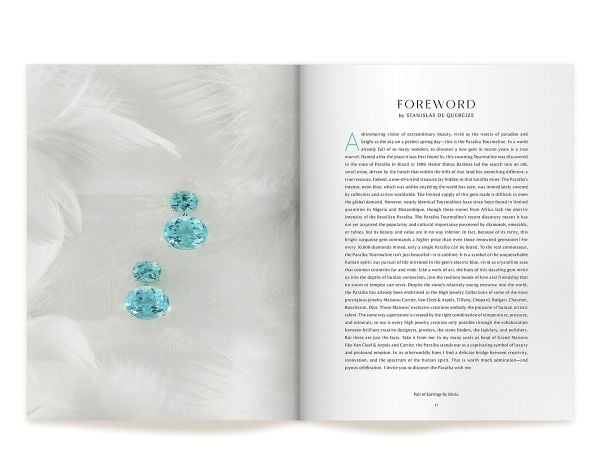 Book cover of Paraíba: The Legacy of a Color: featuring a bluish-green gemstone. Published by Watchprint.com.