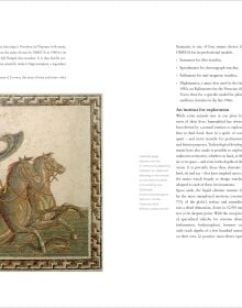 Book cover of Seamaster Only: The OMEGA Diver's Watch; featuring a Omega Seamaster watch with black and gold face. Published by Watchprint.com.