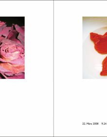 Book cover of Alle Diese Tage: Anna Maria Kupper. Published by Quart Publishers.