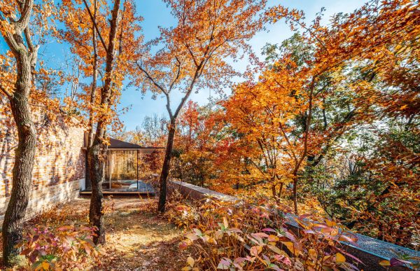 Blue cover of architect monograph on 'One O One – Seoul'. Published by Quart Publishers.